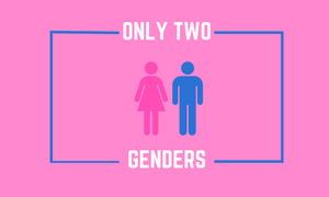 Conservative Comedy Pink Only Two Genders
